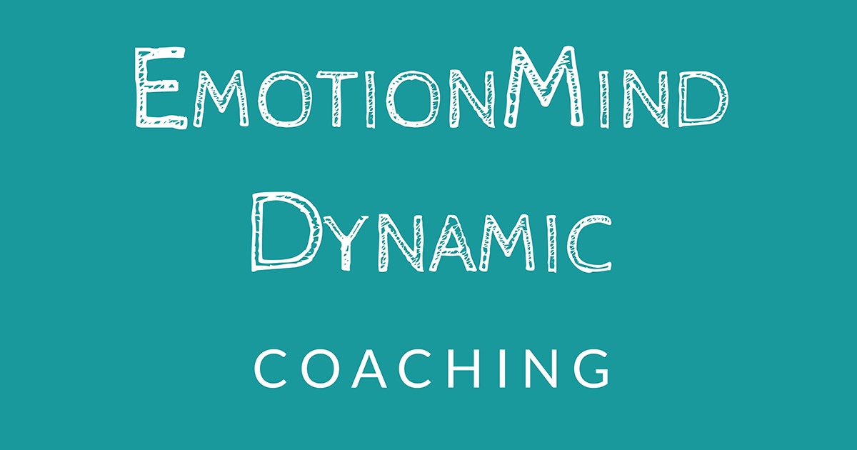 EmotionMind Dynamic Programme Facebook